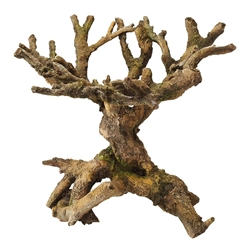 Aquadella bonsai træ - 22X19X20,5cm